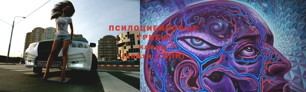 амф Абинск