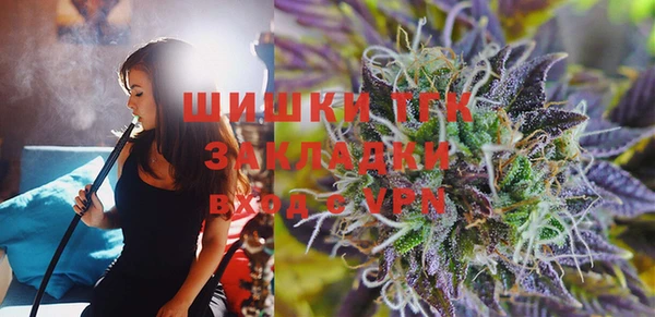 индика Абаза