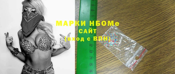 индика Абаза