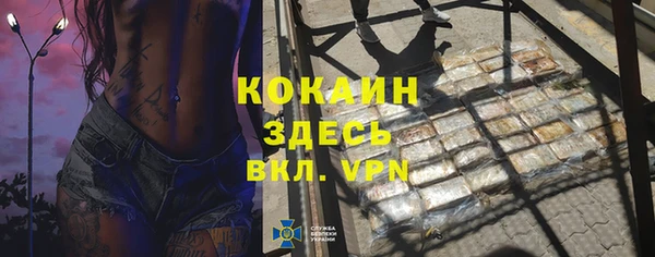 индика Абаза