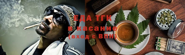 индика Абаза