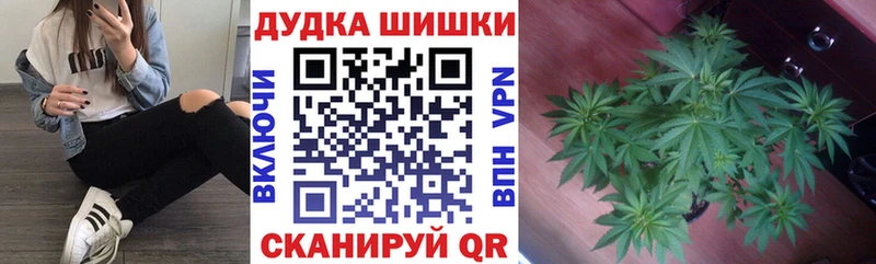 Марихуана сатива  Отрадный 